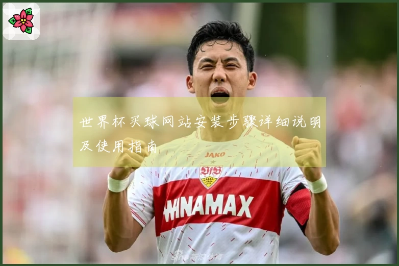 世界杯买球网站安装步骤详细说明及使用指南